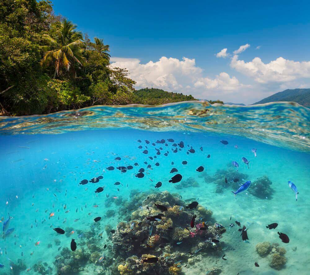 Blue Bay